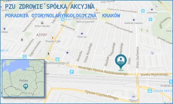 PORADNIA OTORYNOLARYNGOLOGICZNA - PZU ZDROWIE SPÓŁKA AKCYJNA - UL. NISKA 2,  KRAKÓW