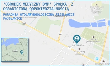 PORADNIA OTOLARYNGOLOGICZNA FAJSŁAWICE - "OŚRODEK MEDYCZNY DMP" SPÓŁKA  Z OGRANICZONĄ ODPOWIEDZIALNOŚCIĄ - FAJSŁAWICE 107A,  FAJSŁAWICE