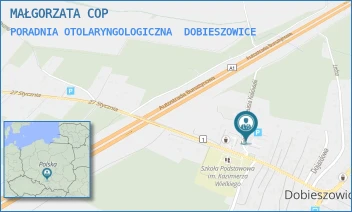 PORADNIA OTOLARYNGOLOGICZNA - MAŁGORZATA COP - UL. KOŚCIUSZKI 25C,  DOBIESZOWICE